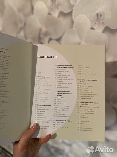 Анатомия за 30 секунд