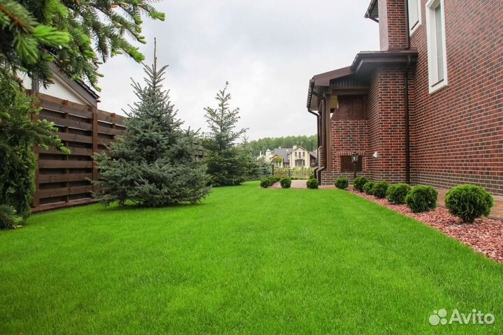 Рулонный газон из собственного питомника