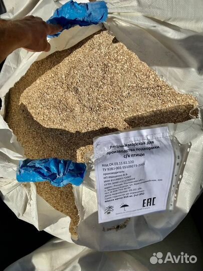 Ракушка морская кормовая