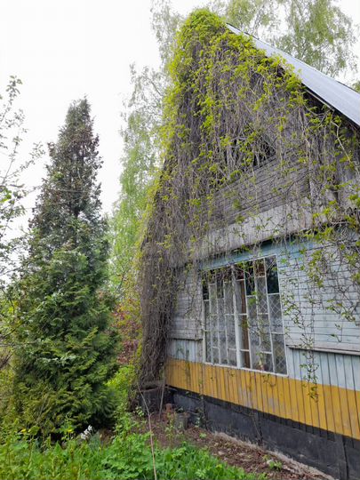 Дача 86 м² на участке 12 сот.