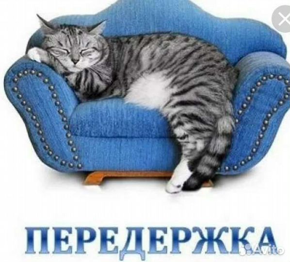 Передержка животных