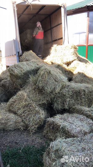Сено в тюках с доставкой
