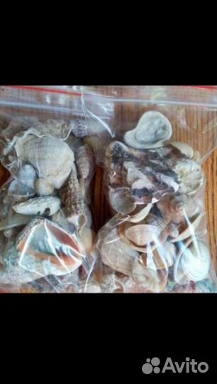 Ракушки и камешкиЧерноморские