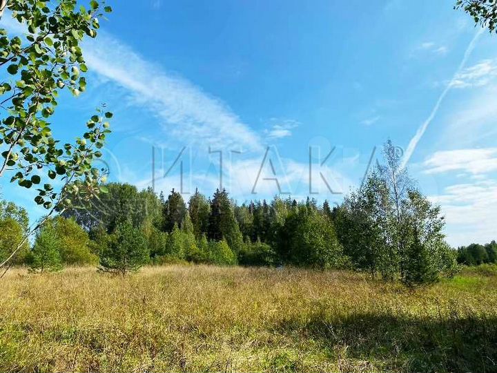 Участок 10 сот. (СНТ, ДНП)