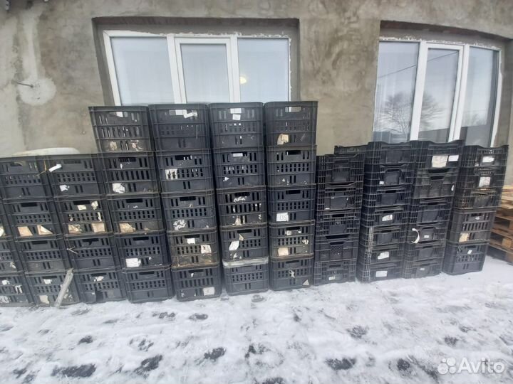 Пластиковые ящики б/у