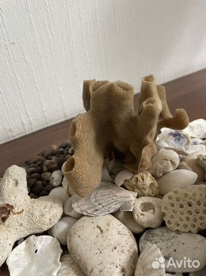 Для аквариумов. Морские камни, коряга, кораллы