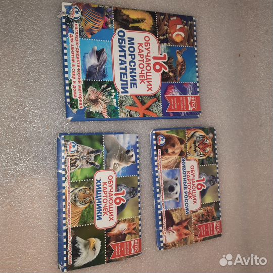 Обучающие карточки 3 комплекта по 16 штук