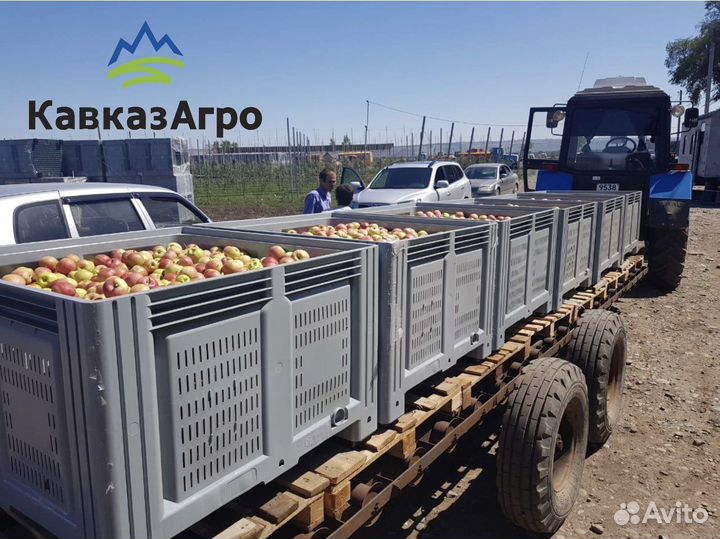 Контейнеры для яблок