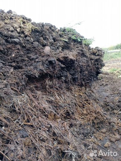 Перегной, навоз)