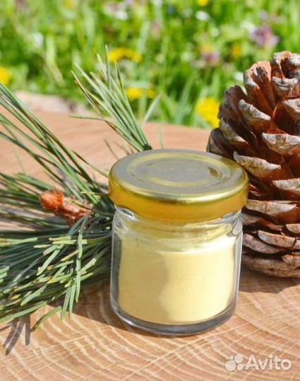 Пыльца крымской сосны