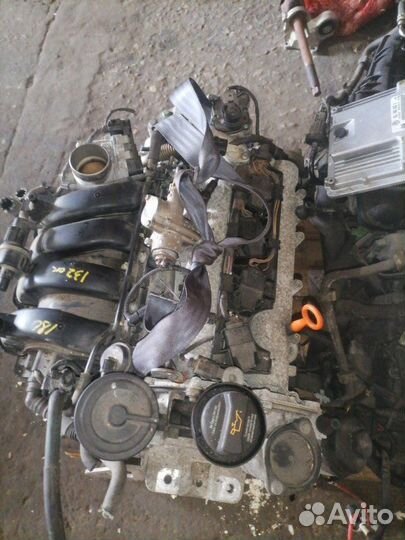 Двигатель Volkswagen Golf Plus 5M BLF