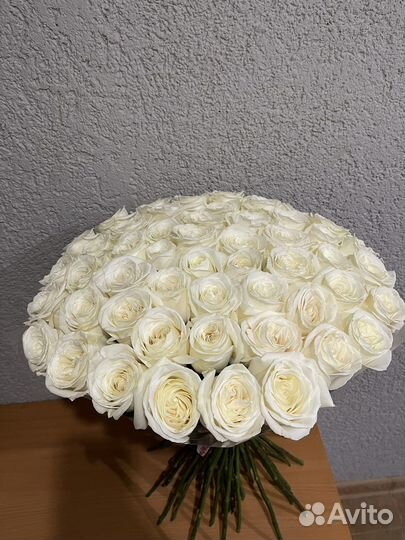 Цветы и Букеты Оптом с Доставкой Розы 60см