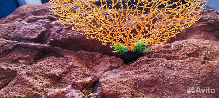 Задний фон для аквариума