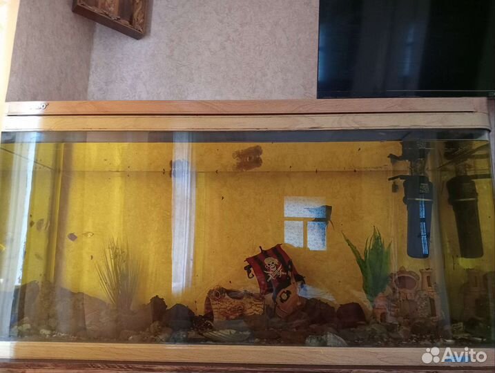 Аквариум jebo