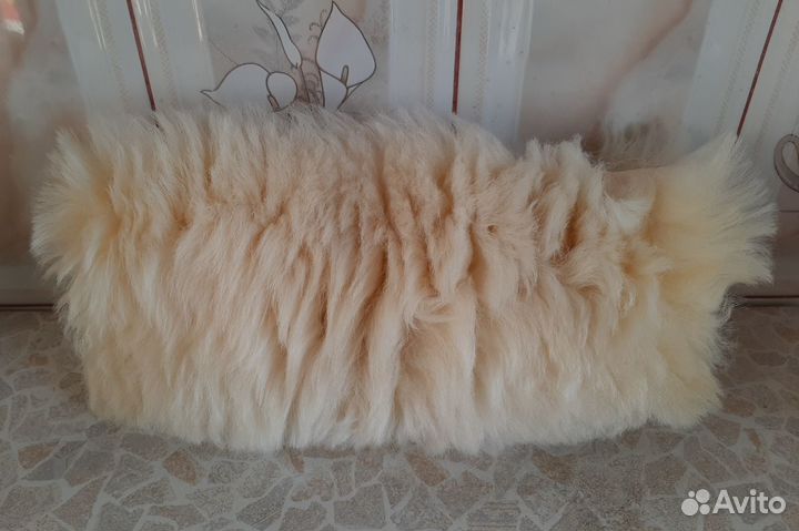 Меховая шкура воротник опушка овечья