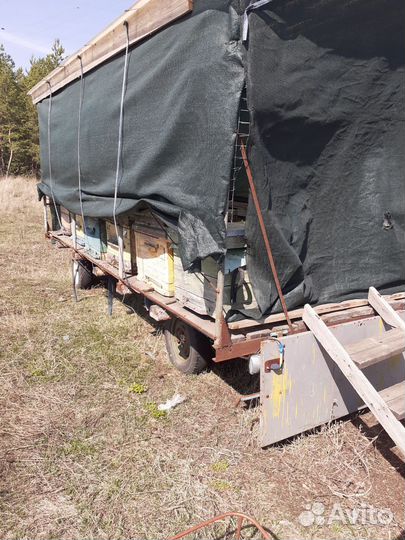 Продам пасеку