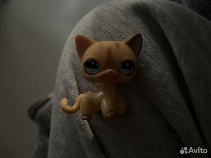 Littlest pet shop