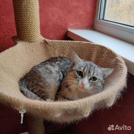 Стеша ждёт свою любящую семью