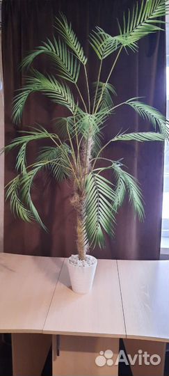 Искусственная пальма