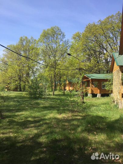 Отдых на Волге