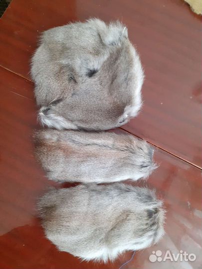 Шкурка животного