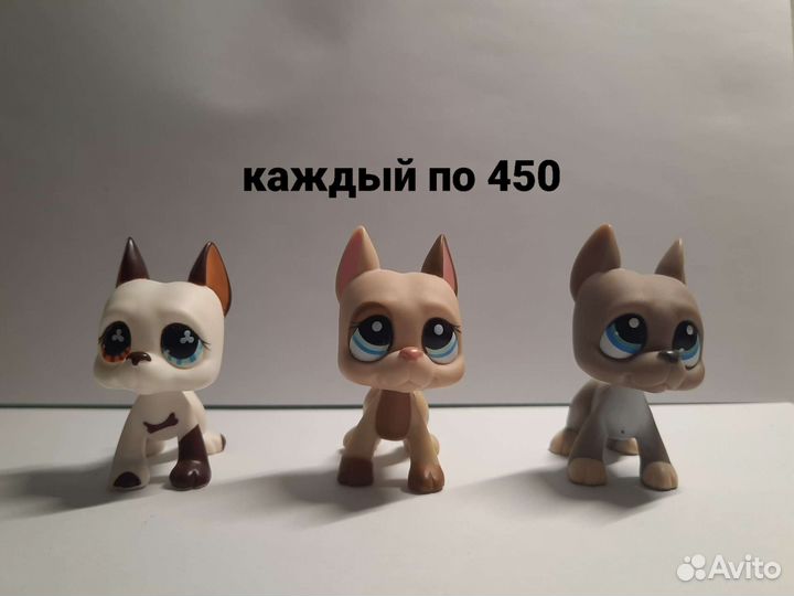 Лпс стоячки Лпс LPS