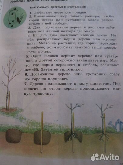 Плешаков А.А., Природоведение. Учебник для 2 кл. т