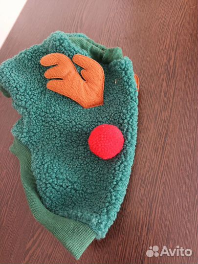 Одежда для маленьких собак