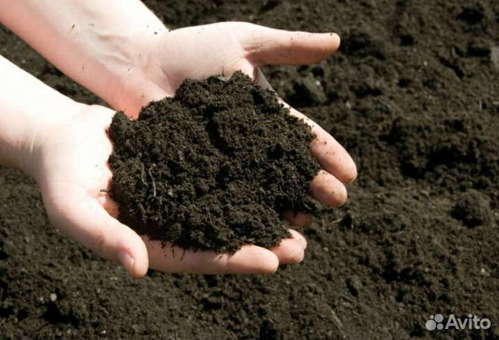 Земля Плодородная