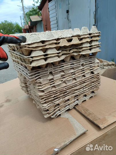 Ячейки для яиц