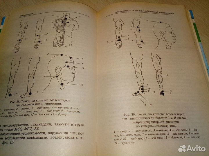 Популярная энциклопедия,Позвоночник