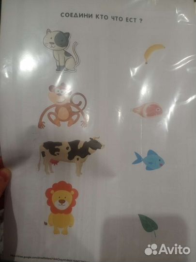 Развивающие игры