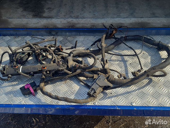 Проводка двигателя Фиат Дукато 244, Елабуга 2.3