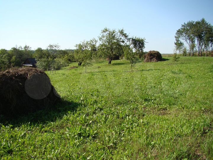 Дом 46,2 м² на участке 50 сот.