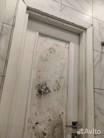 Уничтожение плесени