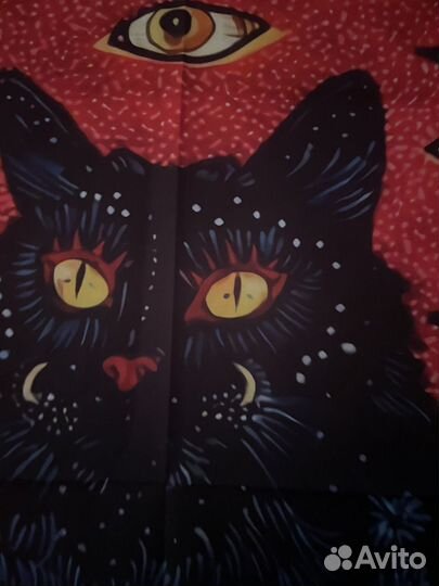 Картина постер кот глаза