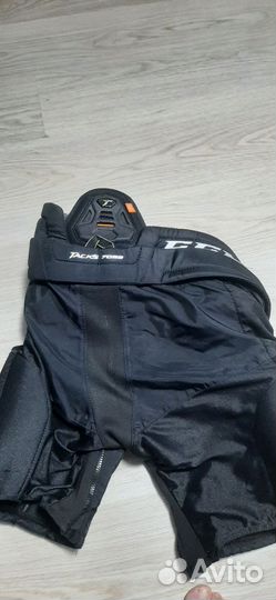Шорты ссм Такс 7092