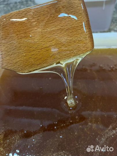 Мёд натуральный.Разнотравье светлое. 2023г оптом