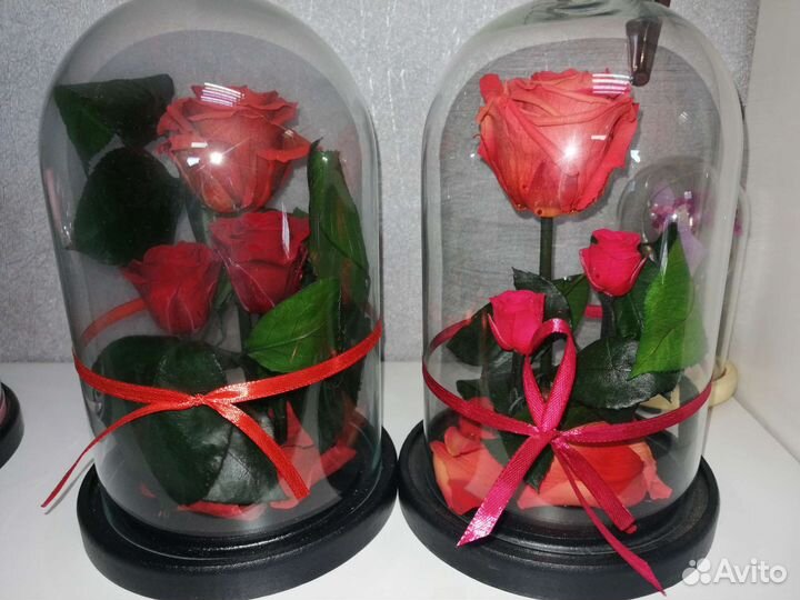 Живая роза в колбе
