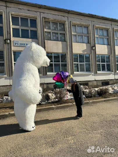 Поздравление от Белого Мишки