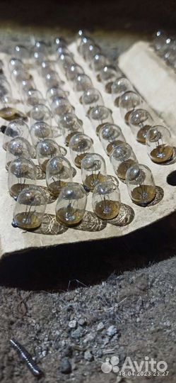 Лампа накаливания 24в. 0.12А