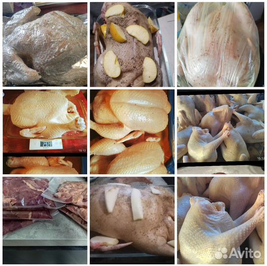 Мясо утки, муларда, Бройлера, потрошки