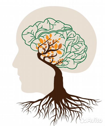 Администратор клиники