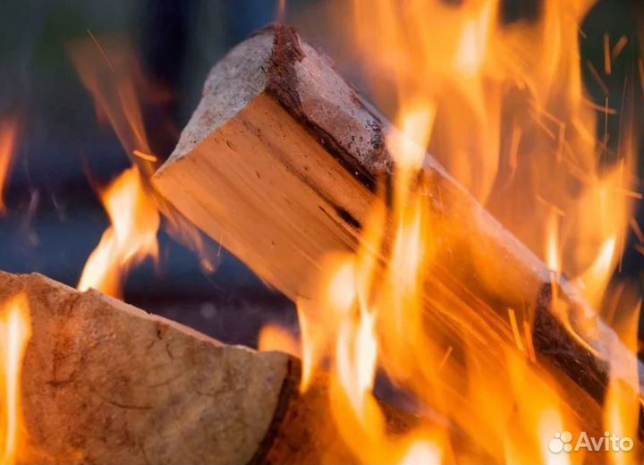 Дрова в наличии