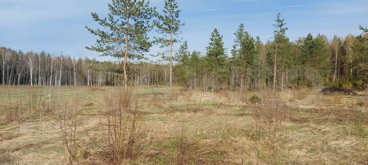 Участок 11 сот. (ИЖС)