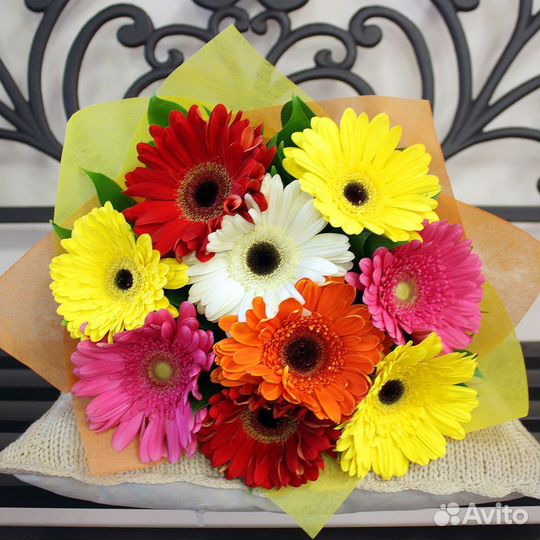 Цветы Герберы и Букеты с Доставкой