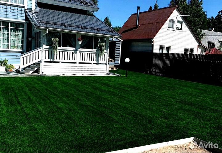 Рулонный газон