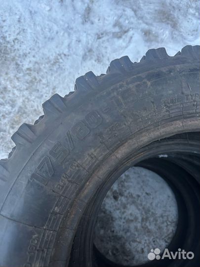 Алтайшина Forward Professional 359 175/80 R16C 30Y