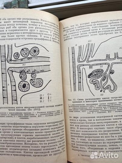 Книги по нейробиологии