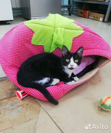 Очаровательная малышка Мила